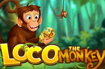 Loco the Monkey